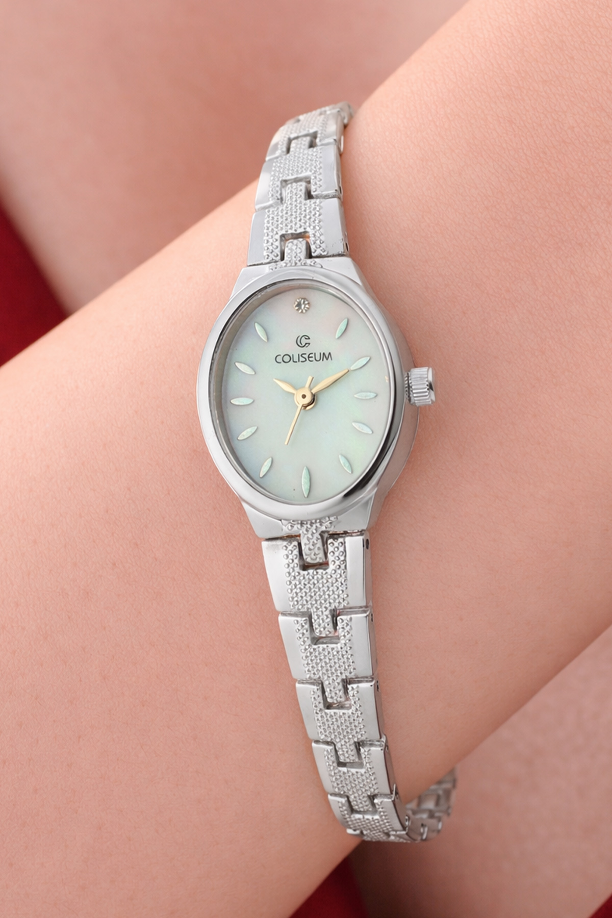 Women's Silver Watch-detail